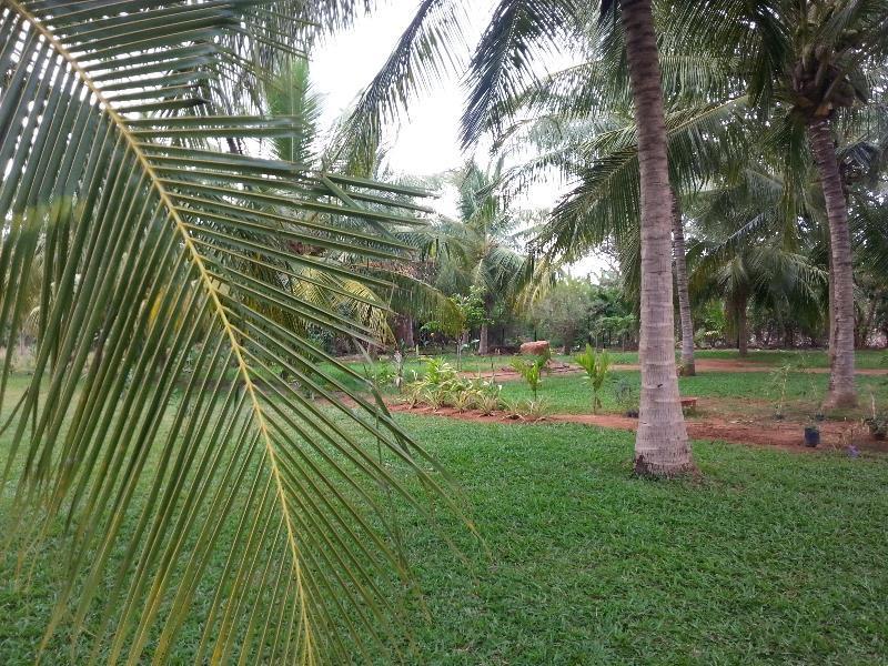 Serenity Lake Resort Yala Tissamaharama Ngoại thất bức ảnh