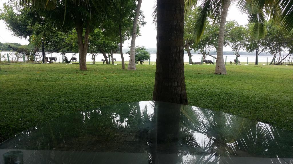 Serenity Lake Resort Yala Tissamaharama Ngoại thất bức ảnh