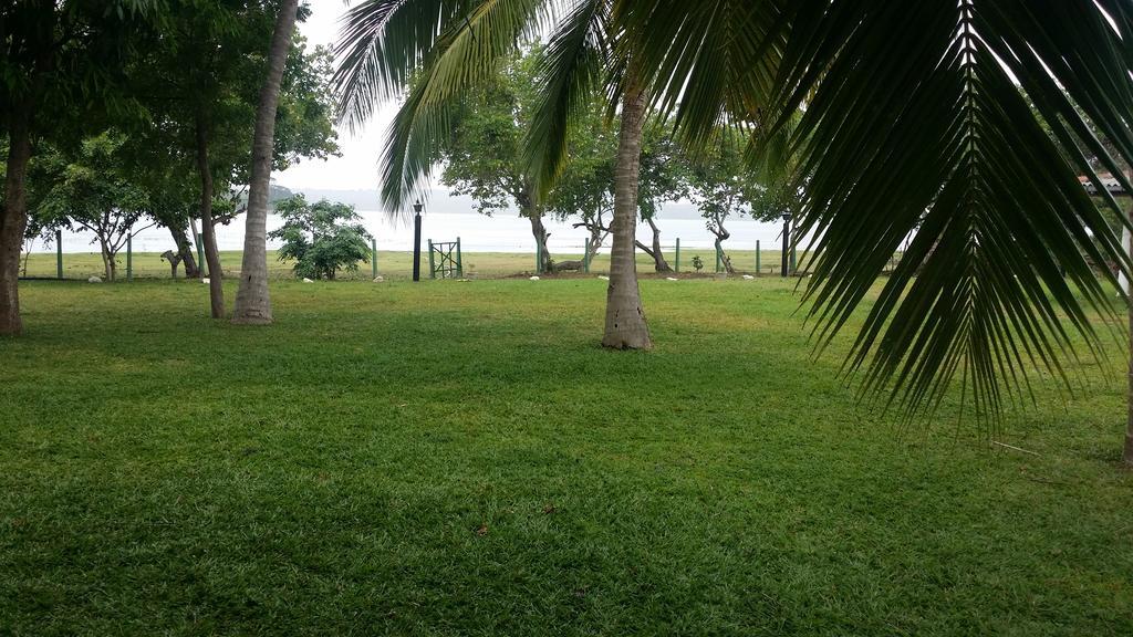 Serenity Lake Resort Yala Tissamaharama Ngoại thất bức ảnh