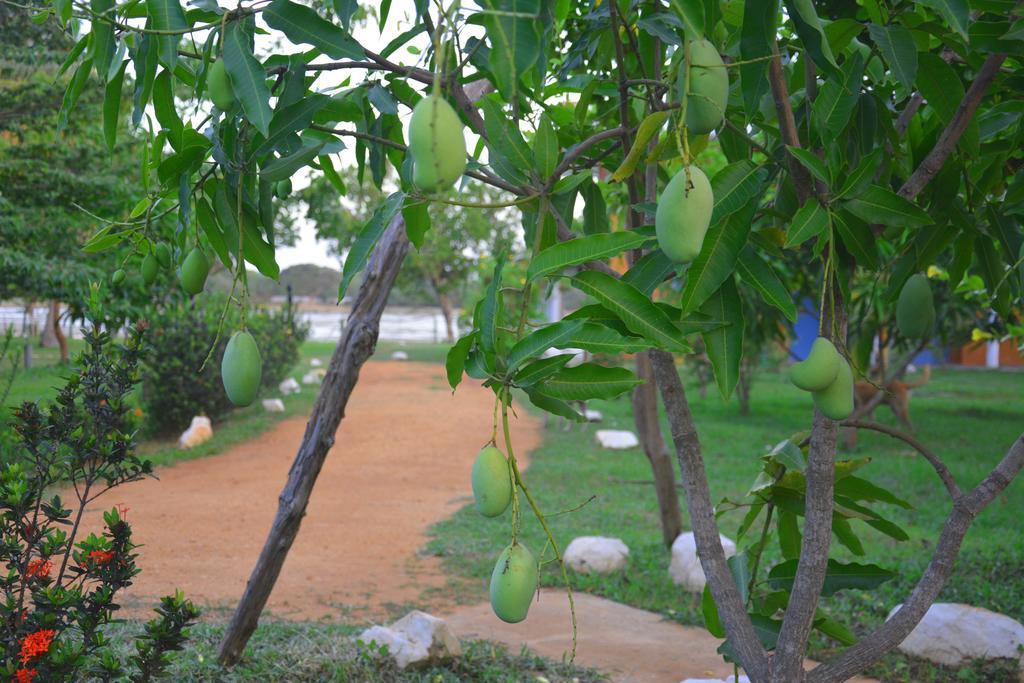 Serenity Lake Resort Yala Tissamaharama Ngoại thất bức ảnh