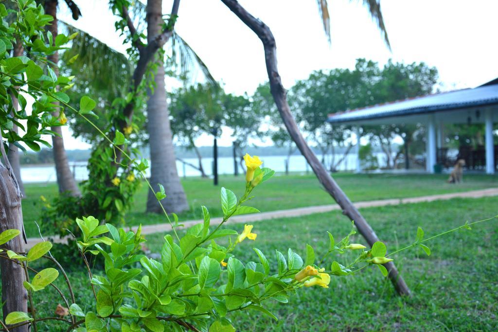 Serenity Lake Resort Yala Tissamaharama Ngoại thất bức ảnh
