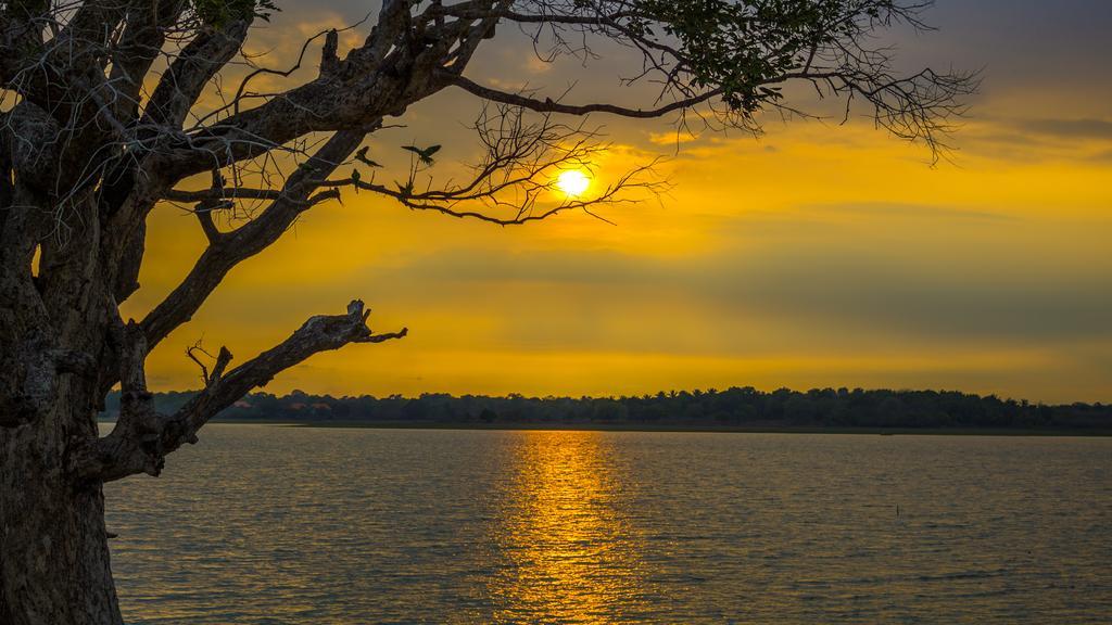 Serenity Lake Resort Yala Tissamaharama Ngoại thất bức ảnh