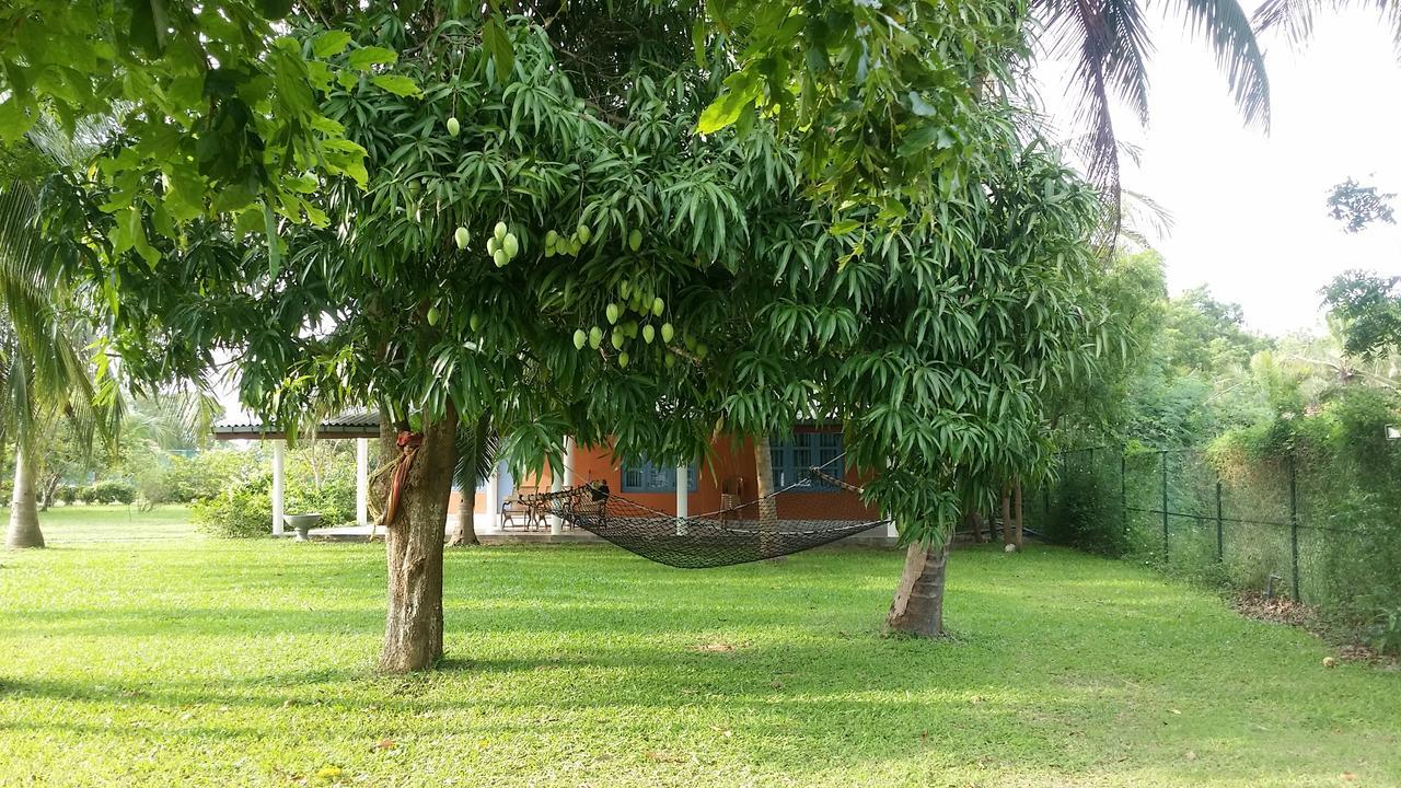 Serenity Lake Resort Yala Tissamaharama Ngoại thất bức ảnh